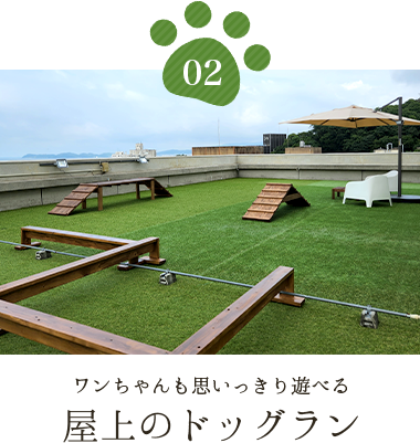 屋上のドッグラン